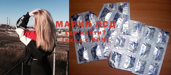мяу мяу мука Магас