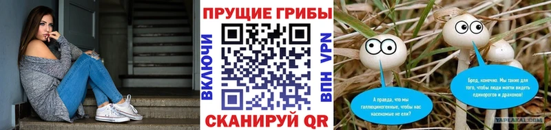 Псилоцибиновые грибы ЛСД Нелидово