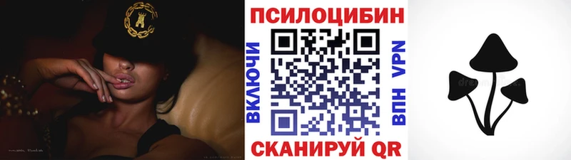 Псилоцибиновые грибы Cubensis  Нелидово 